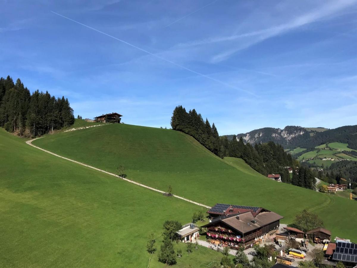 Apartment Chalet Edelweiss - Wil001 By Interhome Auffach Zewnętrze zdjęcie