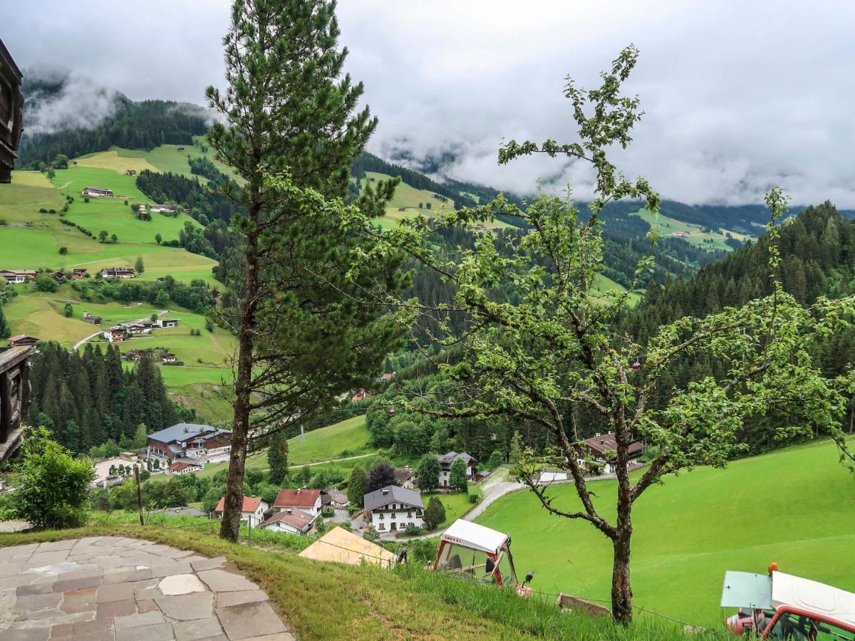 Apartment Chalet Edelweiss - Wil001 By Interhome Auffach Zewnętrze zdjęcie