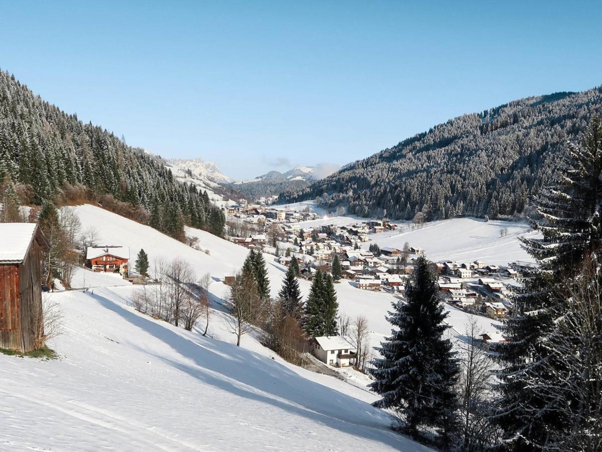 Apartment Chalet Edelweiss - Wil001 By Interhome Auffach Zewnętrze zdjęcie
